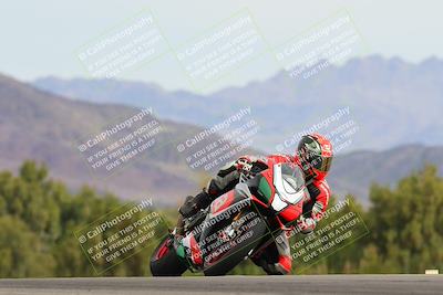 media/Feb-24-2024-Chuckwalla Open Track (Cars N Bikes) (Sat) [[895645527c]]/2-Bike 1/Session 2 (Turn 9 Entry)/